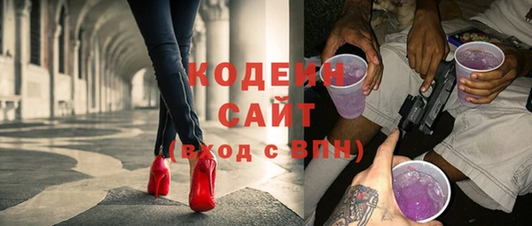 ПСИЛОЦИБИНОВЫЕ ГРИБЫ Новозыбков