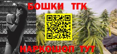 СК Абакан
