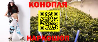 СК Абакан