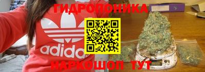СК Абакан