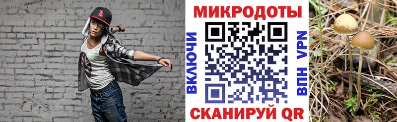 Псилоцибиновые грибы Cubensis  где найти   MEGA маркетплейс  Подольск 