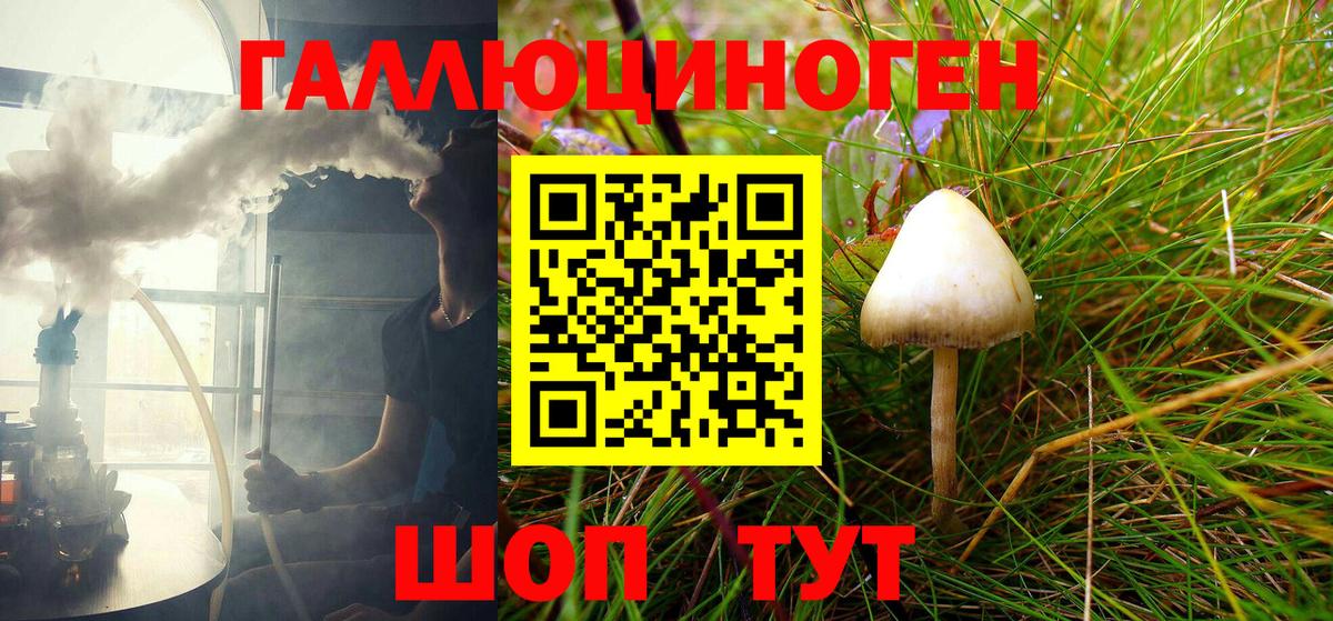 Галлюциногенные грибы MAGIC MUSHROOMS  Псилоцибиновые грибы MAGIC MUSHROOMS  Подольск  Вход с VPN 