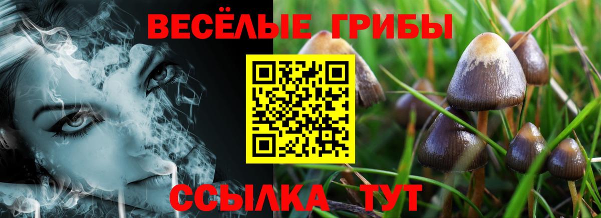 Псилоцибиновые грибы Cubensis  Вход с VPN  Подольск  Псилоцибиновые грибы прущие грибы 